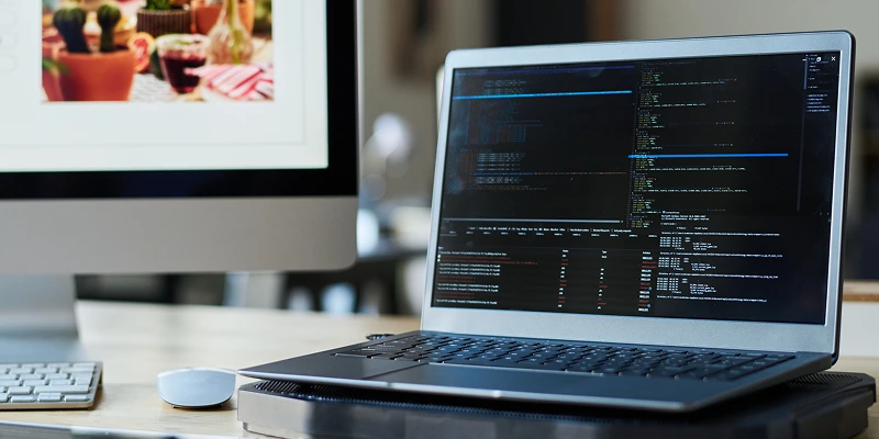Web Development